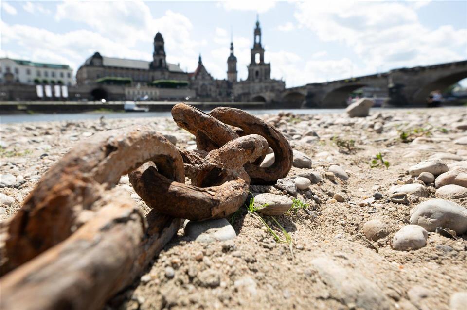 Im Sommer führt die Elbe aufgrund von Hitze und Trockenheit oft Niedrigwasser (Archivbild).Sebastian Kahnert/dpa
