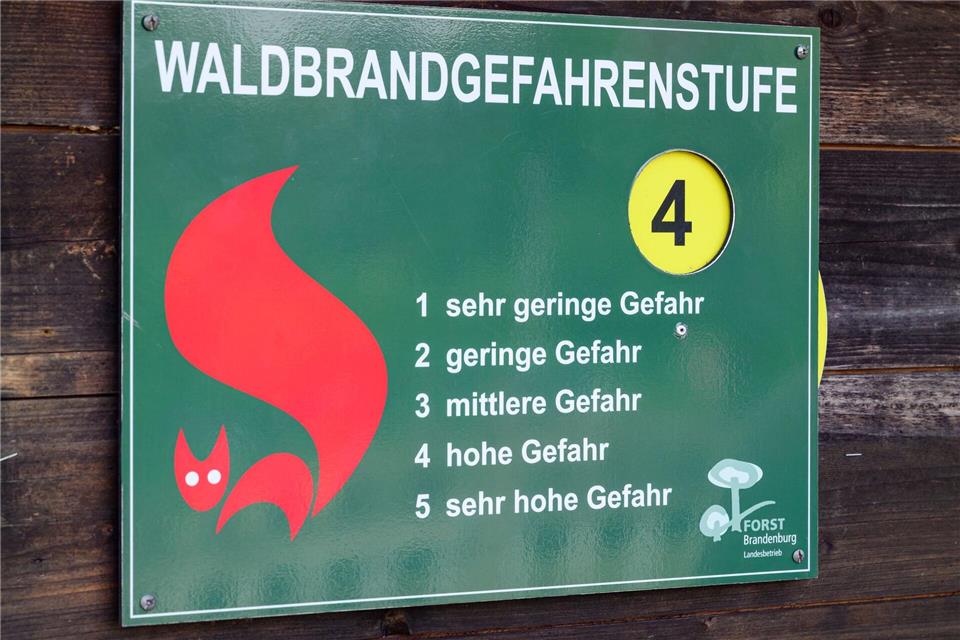 Im Süden Brandenburgs ist die Waldbrandgefahr gestiegen. (Archivbild)Patrick Pleul/dpa