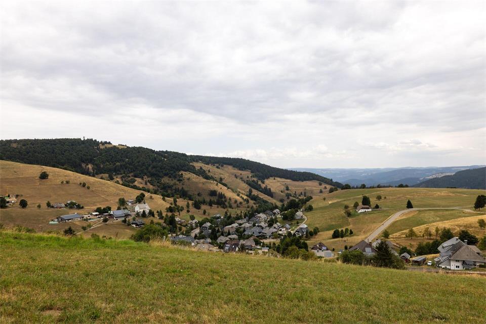 Im Südwesten sinken die Grundwasserstände weiter. (Archivbild)Philipp von Ditfurth/dpa