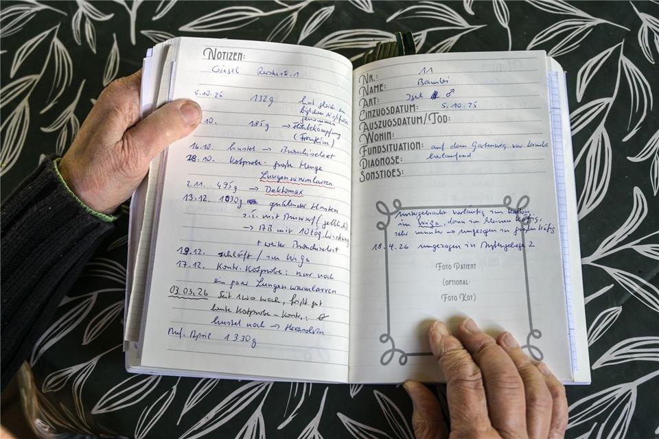 Im Tagebuch hält Giesel Gewicht und Entwicklung jedes Igels fest.Heiko Rebsch/dpa