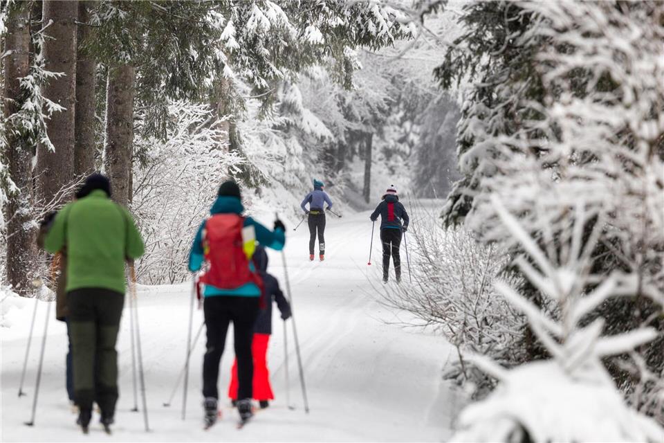 Im Thüringer Wald sind derzeit 580 Kilometer Loipen präpariert. (Archivbild)Michael Reichel/dpa