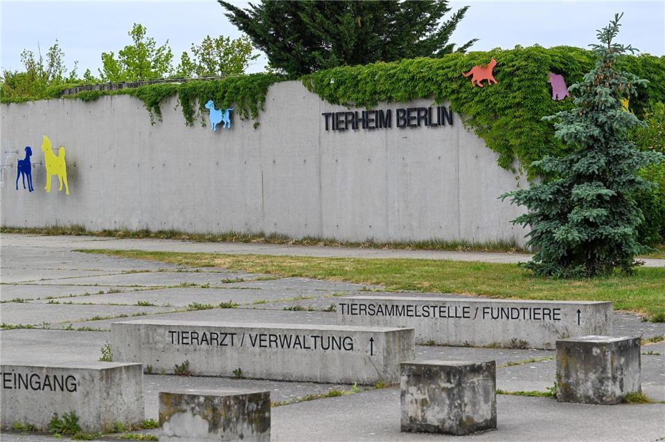 Im Tierheim Berlin gibt es neben Hunden und Katzen auch Tauben, Papageien und andere Vögel. (Archivbild)Soeren Stache/dpa