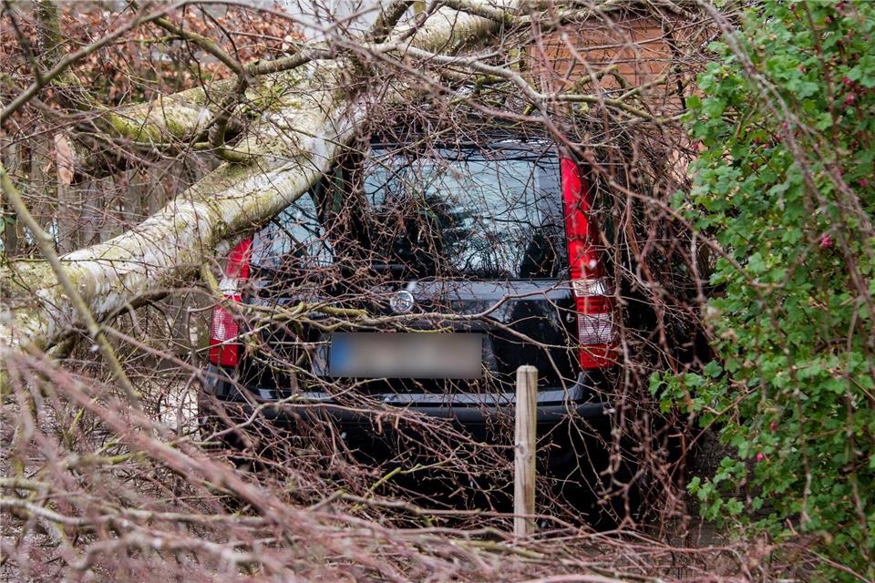 Im Vergleich zu 2024 sank die Zahl der Unwetterschäden an Autos. (Archivbild)Daniel Bockwoldt/dpa
