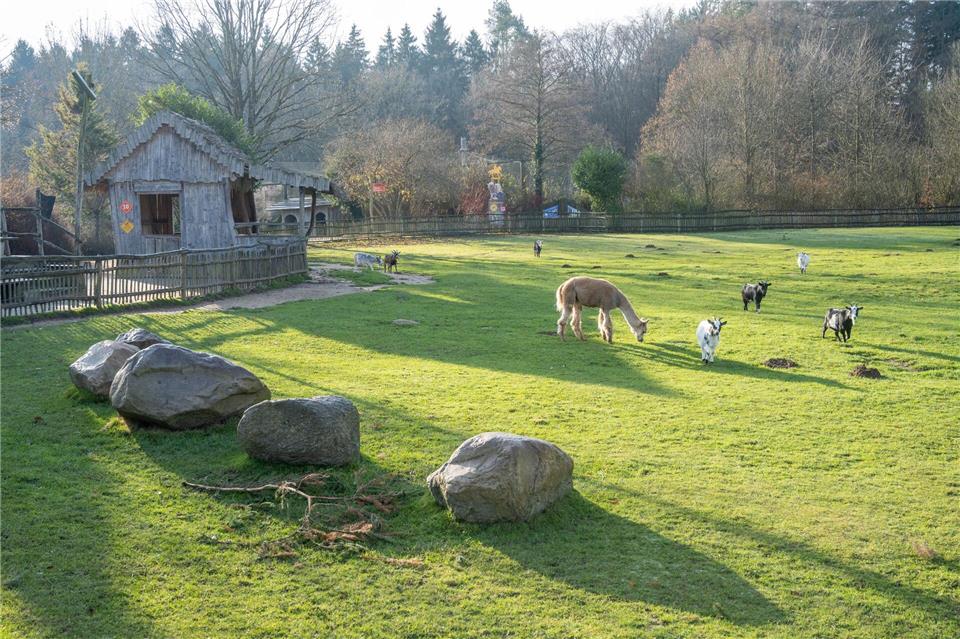 Im Vogelpark Marlow gibt es nicht nur Vögel. (Archivbild)Stefan Sauer/dpa