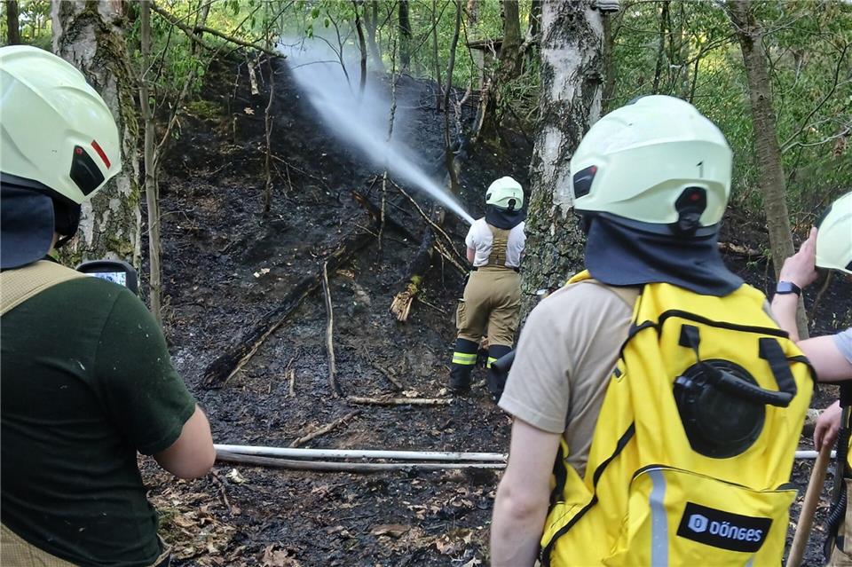Im Wald am Lünsberg kam es zu einem Bodenbrand auf 1000 Quadratmeter Fläche.