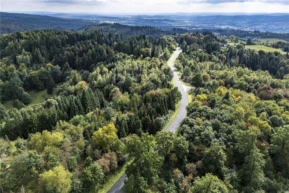Im Weltwald wachsen unter anderem Baumarten aus Asien und Nordamerika.Swen Pförtner/dpa