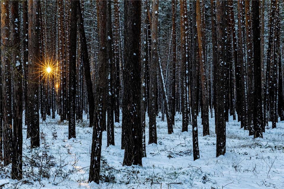 Im Winter muss der Körper auf die Vitamin-D-Speicher im Körper zugreifen. (Symbolbild)Frank Hammerschmidt/dpa