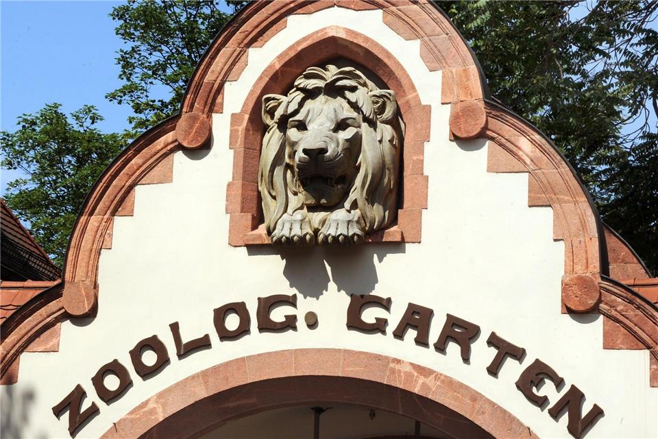 Im Zoo Leipzig sind alle Krauskopfpelikane getötet worden. (Symbolbild) Waltraud Grubitzsch/dpa