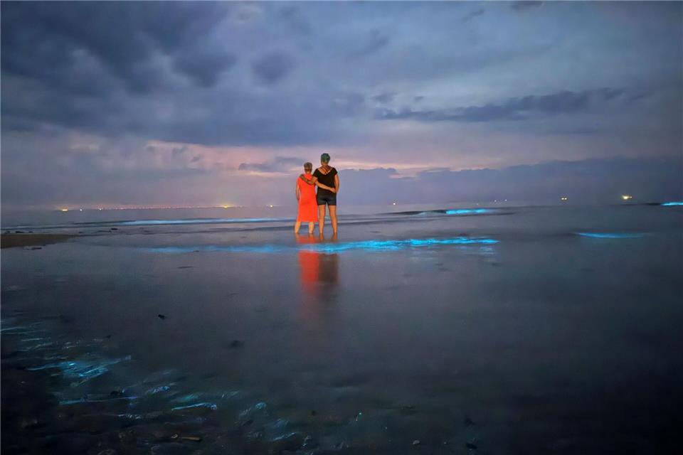 Im flachen Wasser beobachten zwei Frauen Meeresleuchten am Nordstrand von Norderney. Volker Bartels/dpa