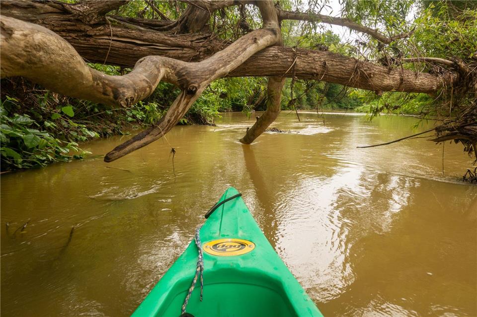 Im idyllischen Dreiländer-Naturpark Raab kann man vom Rad ins Kanu wechseln.Andreas Drouve/dpa-tmn