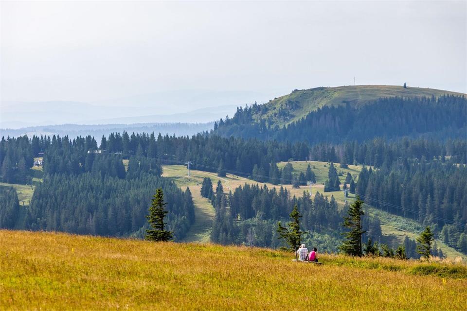Im südlichen Schwarzwald, etwa auf dem Feldberg, lebt der seltene Badische Riesenregenwurm. (Archivbild)Philipp von Ditfurth/dpa
