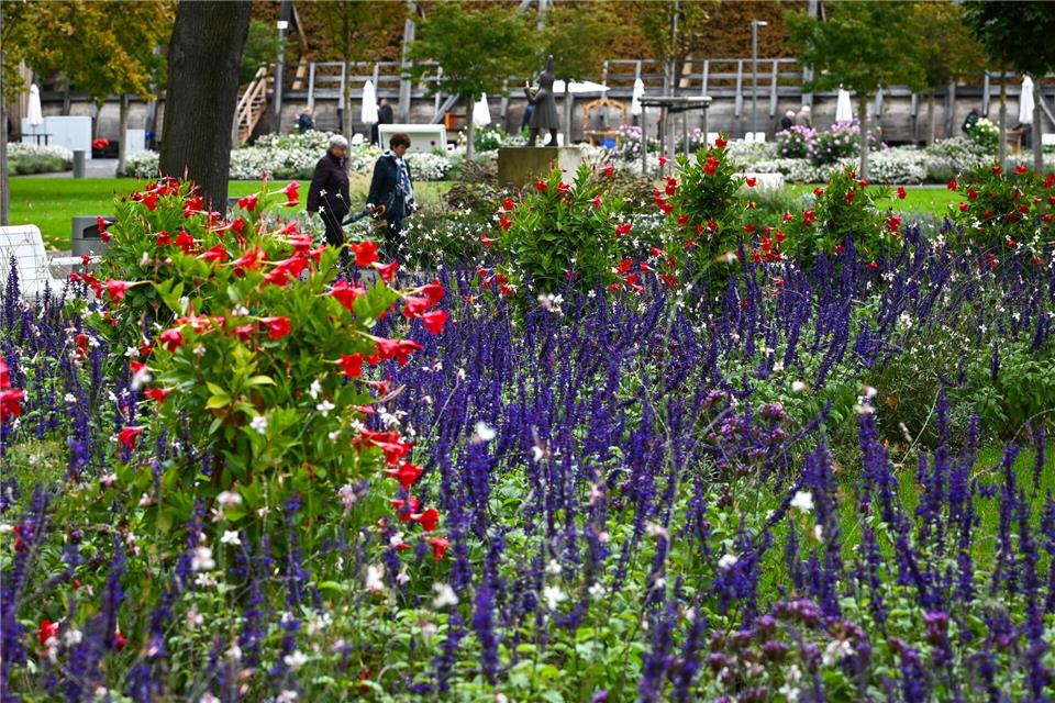Im vergangenen Jahr fand die Landesgartenschau in Bad Dürrenberg statt. (Archivbild)Heiko Rebsch/dpa
