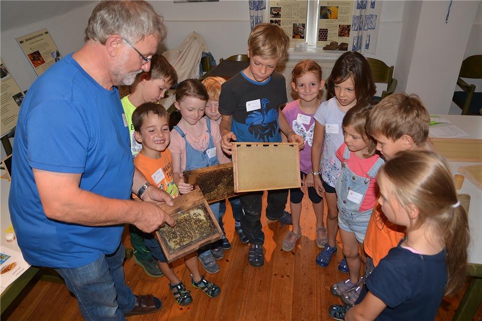 Imker Norbert Heidermann erklärt Kindern die Imkerei und das Leben der Honigbienen.