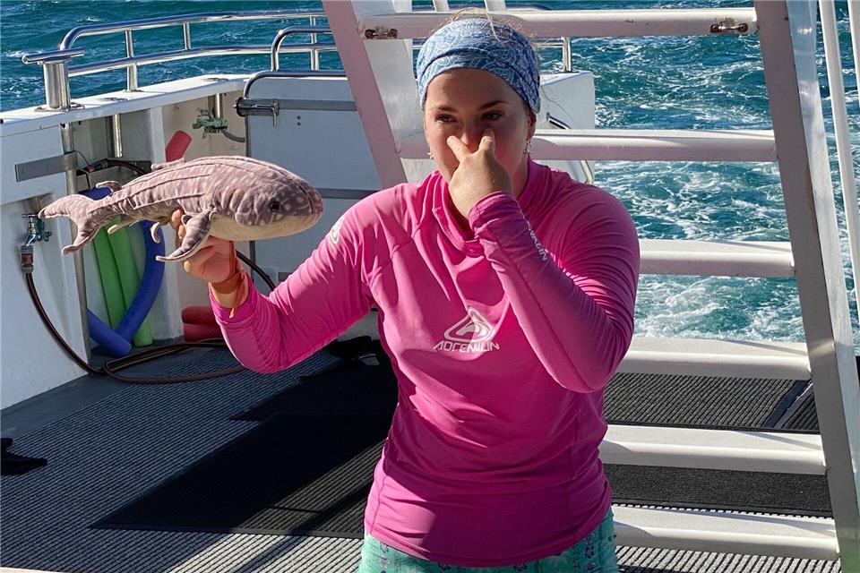 Immer die Augen auf: Anhand eines Stofftier-Walhais erläutert Georgia Clements die Verhaltensregeln beim Tauchen mit Walhaien.Stefan Weißenborn/dpa-tmn