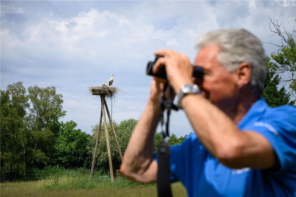 Immer ein Fernglas in Griffnähe: Jürgen Pelch beobachtet und zählt nicht nur Störche. Er schaut auch bei den anderen Tieren genau hin. Jonas Walzberg/dpa