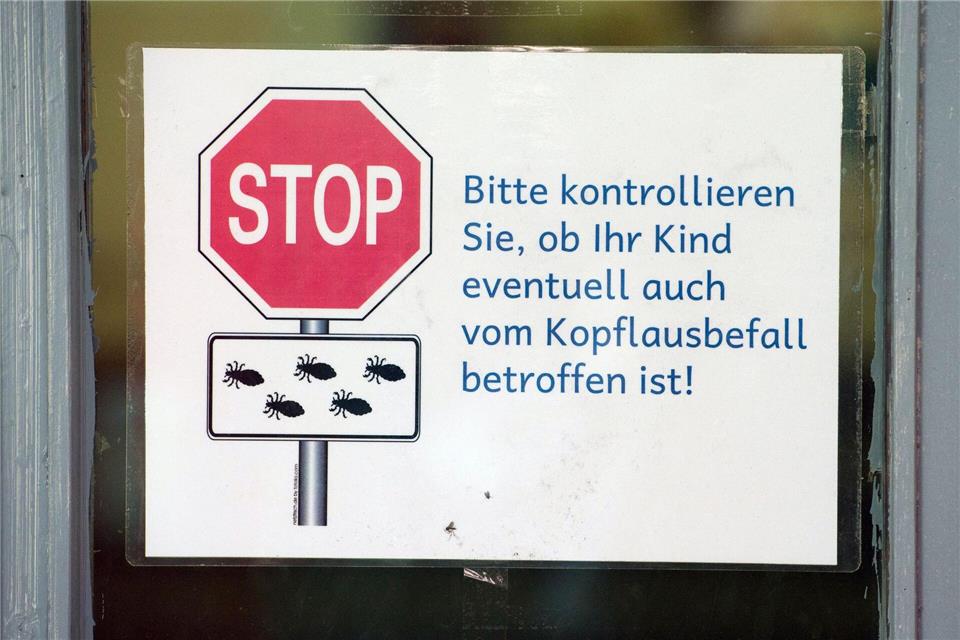 Immer mehr Kinder in Thüringen weisen Fälle von Parasitenbefall auf, zeigen Zahlen der Kassenärztlichen Vereinigung Thüringen. (Archivbild) Sebastian Kahnert/dpa