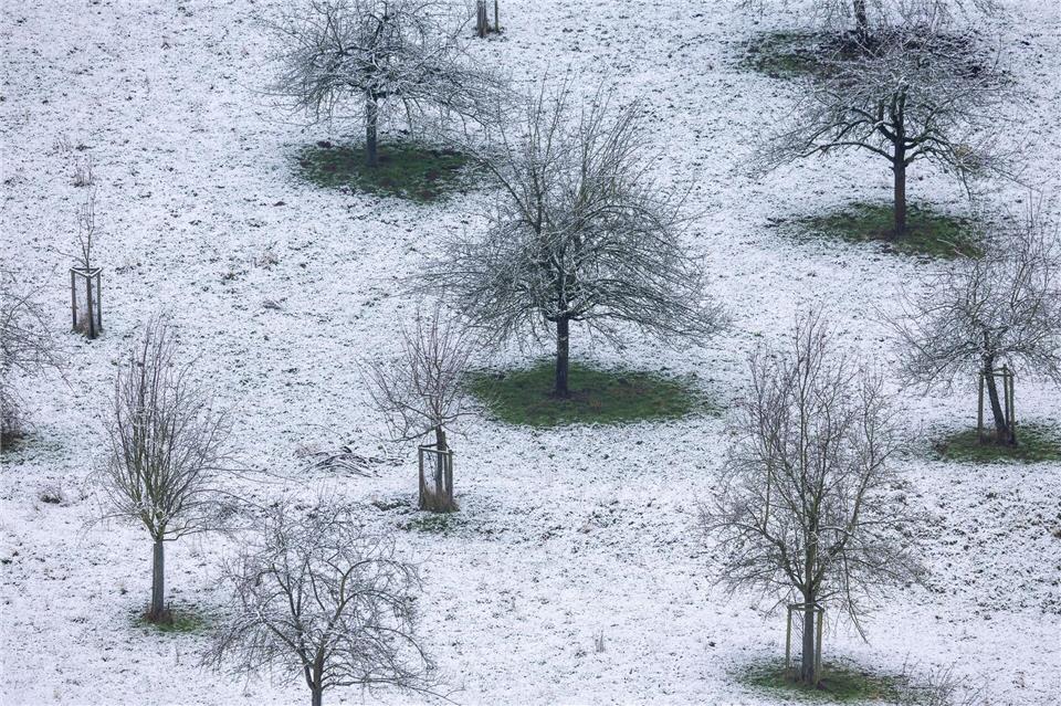 Immer wieder gab es Schnee - und trotzdem war der Januar laut Statistik zu trocken und zu warm.Thomas Banneyer/dpa