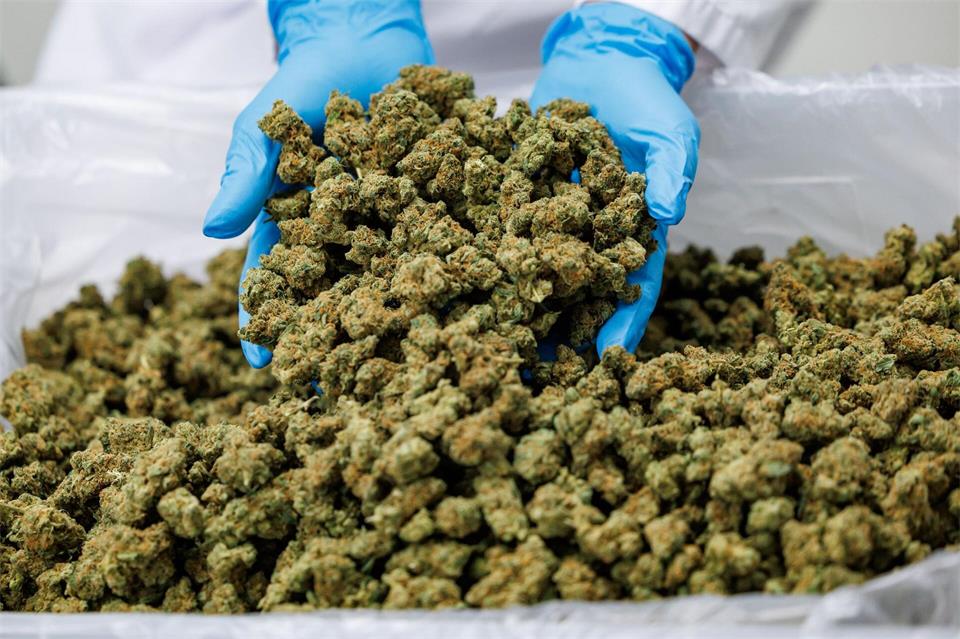 Importe von Medizinal-Cannabis steigen stark. (Archivbild)Daniel Karmann/dpa
