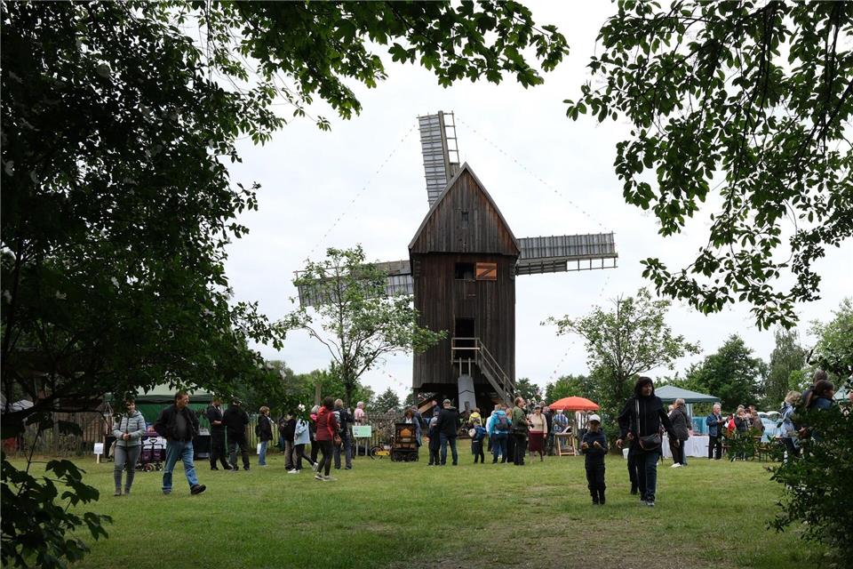In Bad Düben hat die einst in Glesien beheimatete historische Bockwindmühle ein neues Zuhause gefunden. Zum Mühlentag lockte sie zahlreiche Besucher an.Sebastian Willnow/dpa