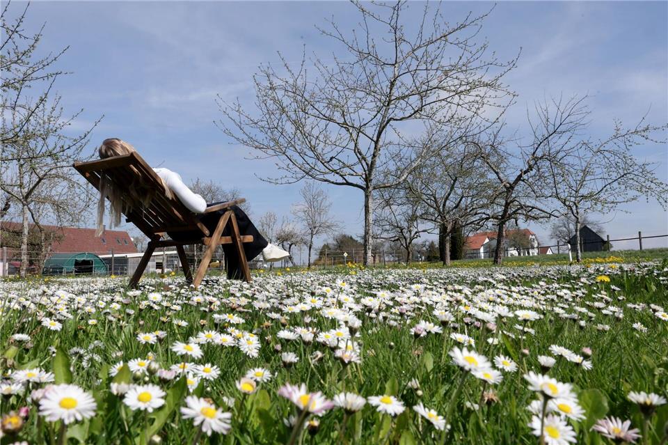In Baden-Württemberg steigen die Temperaturen von Tag zu Tag. (Archivbild)Thomas Warnack/dpa