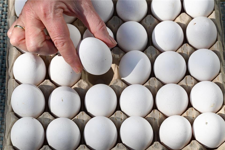 In Baden-Württemberg wurden 2025 mehr Eier erzeugt. (Symbolbild)Bernd Weißbrod/dpa