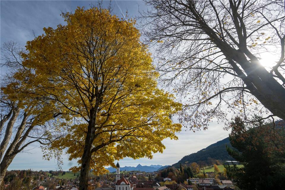 In Bayern bringt das Wetter ordentlich Nebel und ein wenig Sonne mit. (Symbolbild)Stefan Puchner/dpa