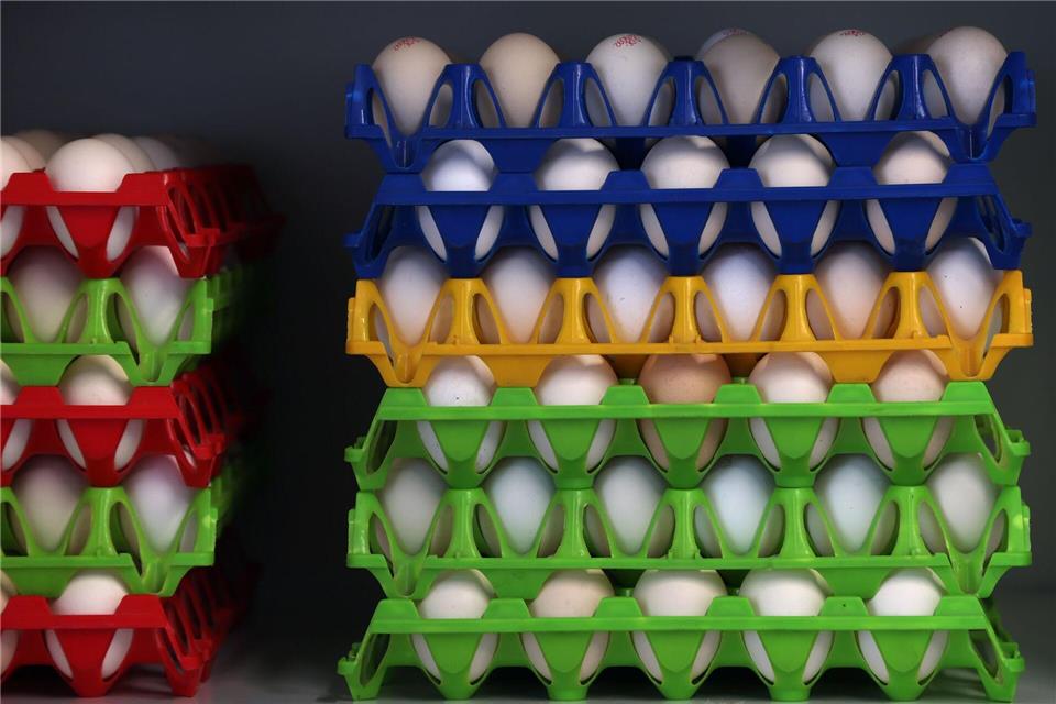 In Bayern gibt es eine große Nachfrage nach Bio-Eiern. (Symbolbild)Karl-Josef Hildenbrand/dpa