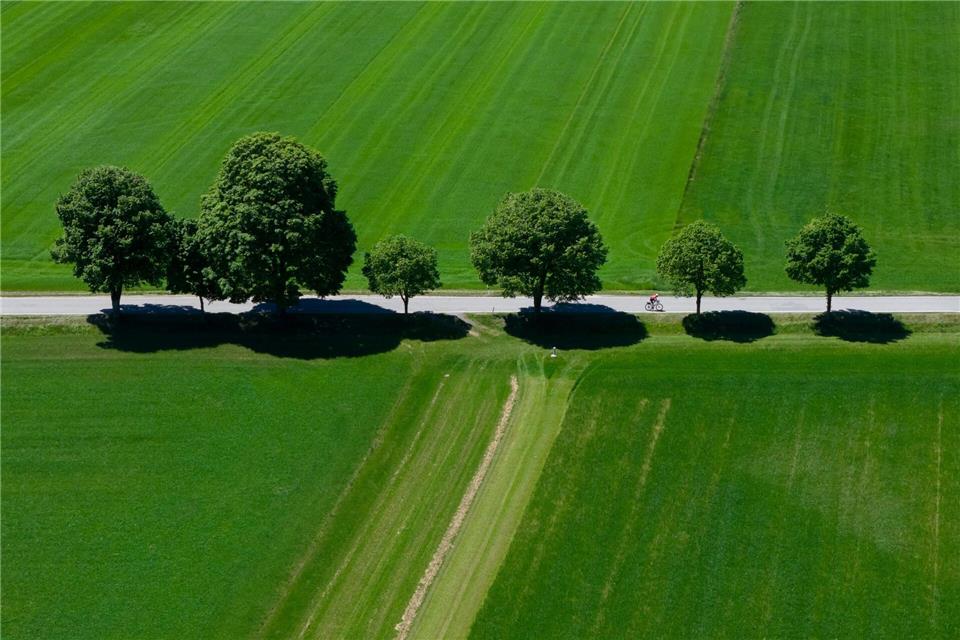 In Bayern war es vor allem sehr trocken.Sven Hoppe/dpa