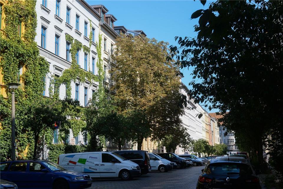 In Berlin sollen bis 2040 Hunderttausende neue Bäume gepflanzt und auch Hausfassaden begrünt werden, um besser für den Klimawandel gewappnet zu sein. (Symbolfoto)    Jens Kalaene/dpa-Zentralbild/dpa