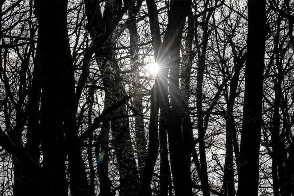 In Berlin und Brandenburg bleibt das Wetter mild.Britta Pedersen/dpa