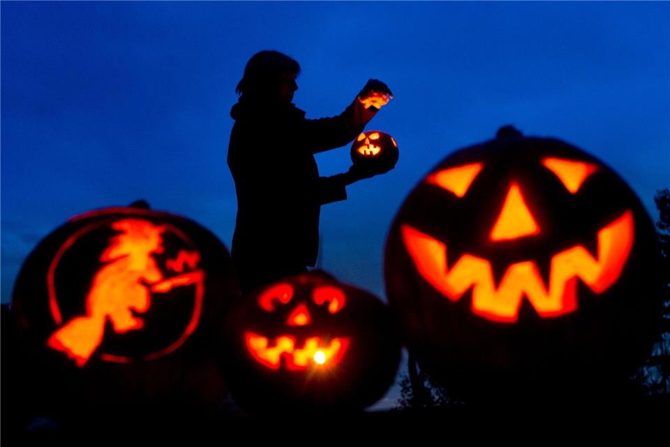 Halloween: Hundeschulen laden zu Gruselspaß und Rätseltouren In Berlin und Brandenburg finden verschiedene Partys statt. (Symbolbild)Patrick Pleul/ZB/dpa