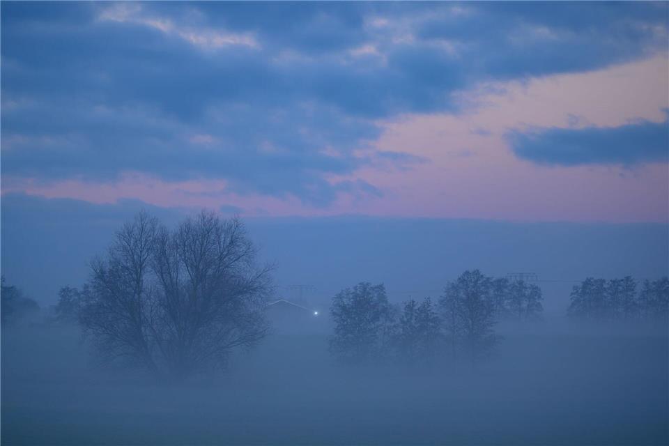 In Berlin und Brandenburg ist in der Nacht zum Freitag örtlich mit Nebel zu rechnen. (Symbolbild)Patrick Pleul/dpa