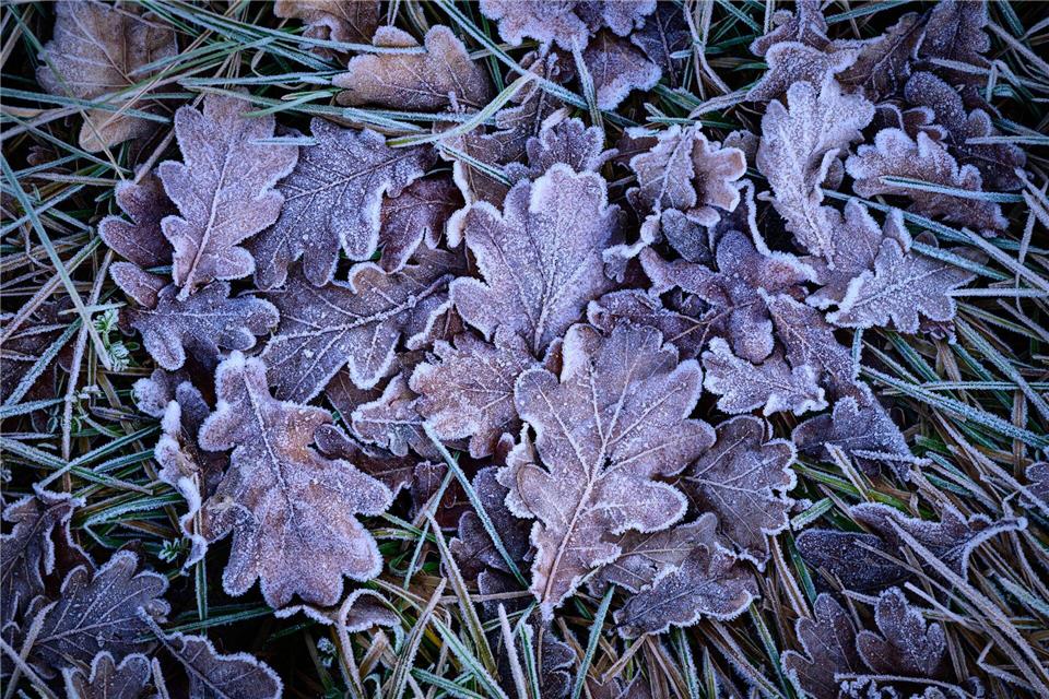 In Berlin und Brandenburg ist mit Frost und Glätte zu rechnen. (Symbolbild)Patrick Pleul/dpa