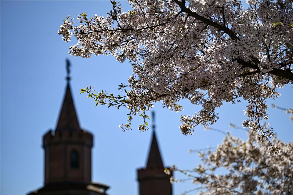 In Berlin und Brandenburg wird es heute und morgen bis zu 20 Grad warm, am Samstag steigen die Temperaturen sogar auf 22 Grad. (Archivbild)Jens Kalaene/dpa