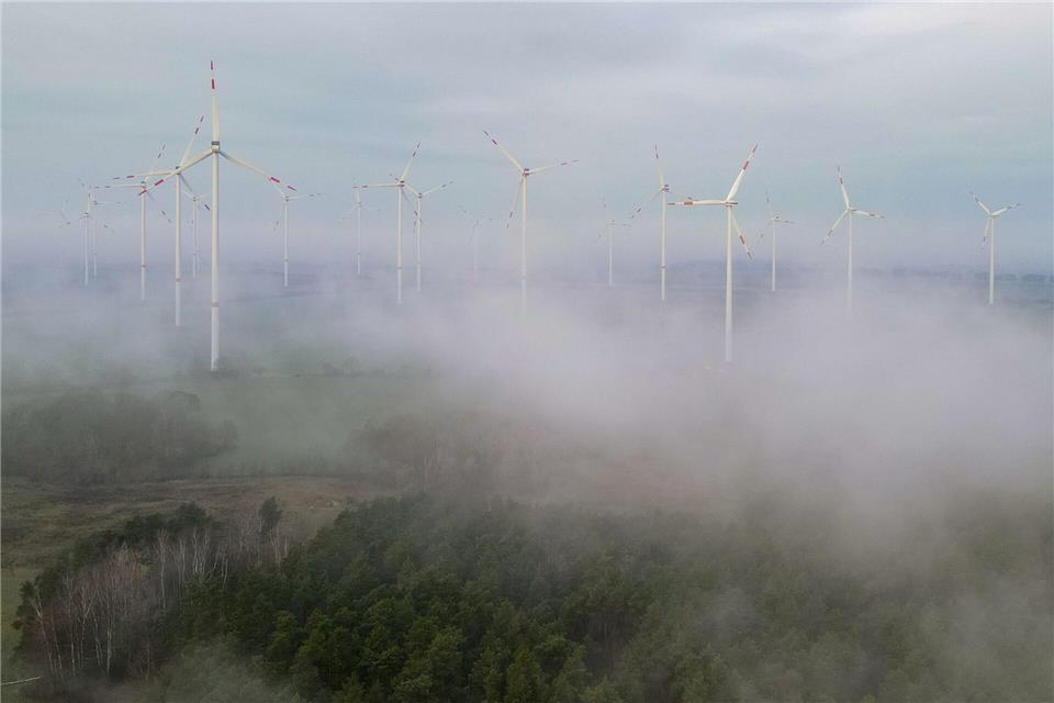 In Berlin und Brandenburg wird es zum Wochenstart grau und herbstlich. (Symbolfoto)Patrick Pleul/dpa