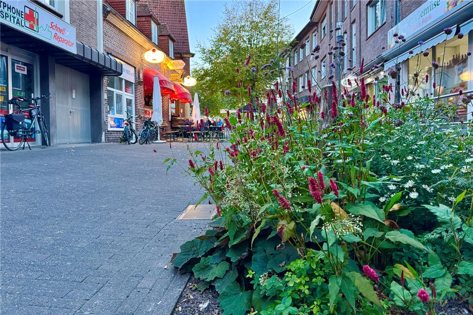 In Borken sollen noch weitere Staudenbeete entstehen. Diese gehören zum Prinzip der Schwammstadt, um unter anderem die Temperatur im Sommer in der Innenstadt zu senken.