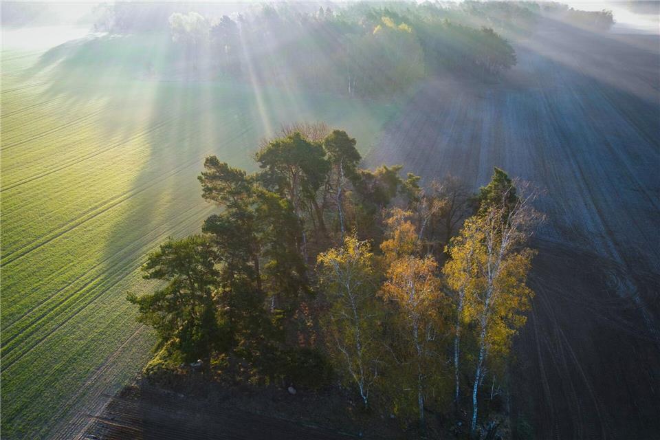 In Brandenburg schien sie Sonne im Frühling viele Stunden. (Archivbild)Patrick Pleul/dpa