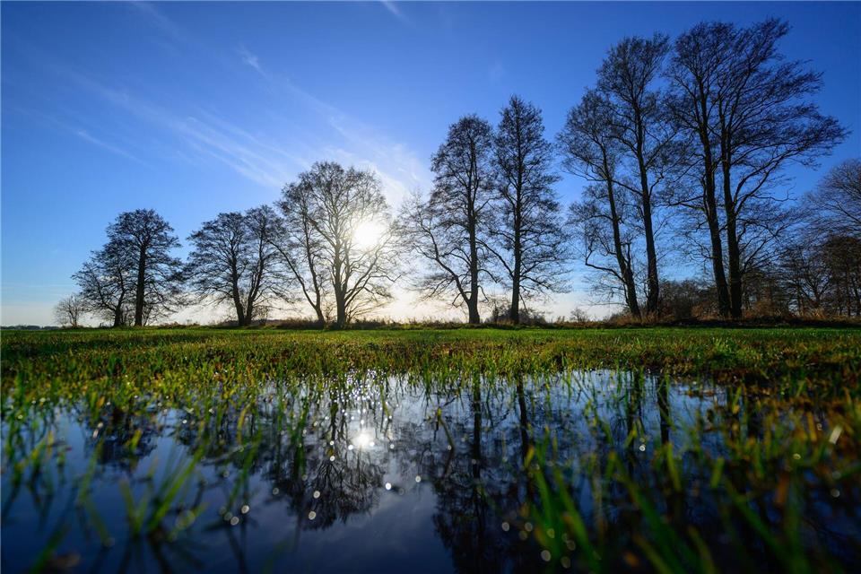 In Brandenburg und Berlin zeigt sich heute und morgen die Sonne. (Archivbild)Patrick Pleul/dpa