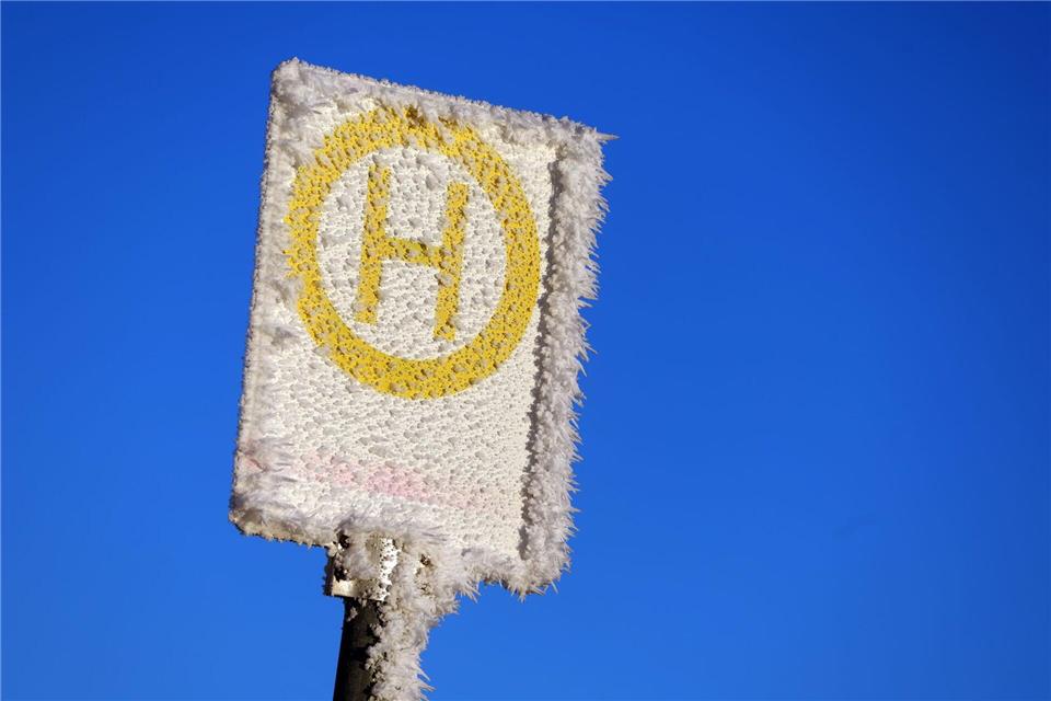 In Dessau fahren vorerst keine Busse mehr. (Symbolbild)Karl-Josef Hildenbrand/dpa