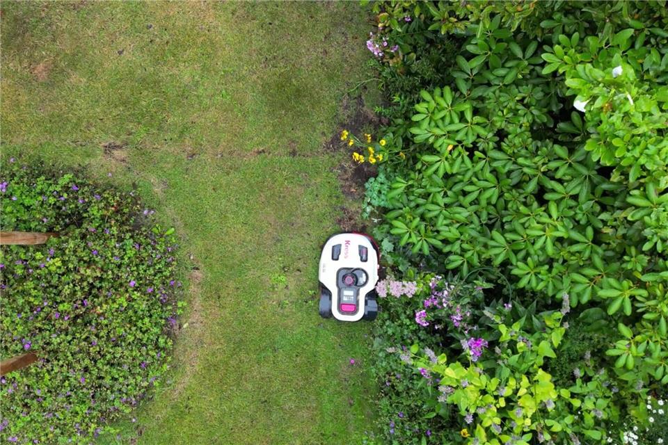 In Halle gilt bald ein nächtliches Fahrverbot für Mähroboter. (Symbolbild)Sascha Thelen/dpa