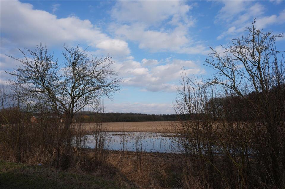 In Hamburg, Schleswig-Holstein und Mecklenburg-Vorpommern könnte es in den nächsten Tagen wieder wolkiger werden. (Archivbild)Marcus Brandt/dpa