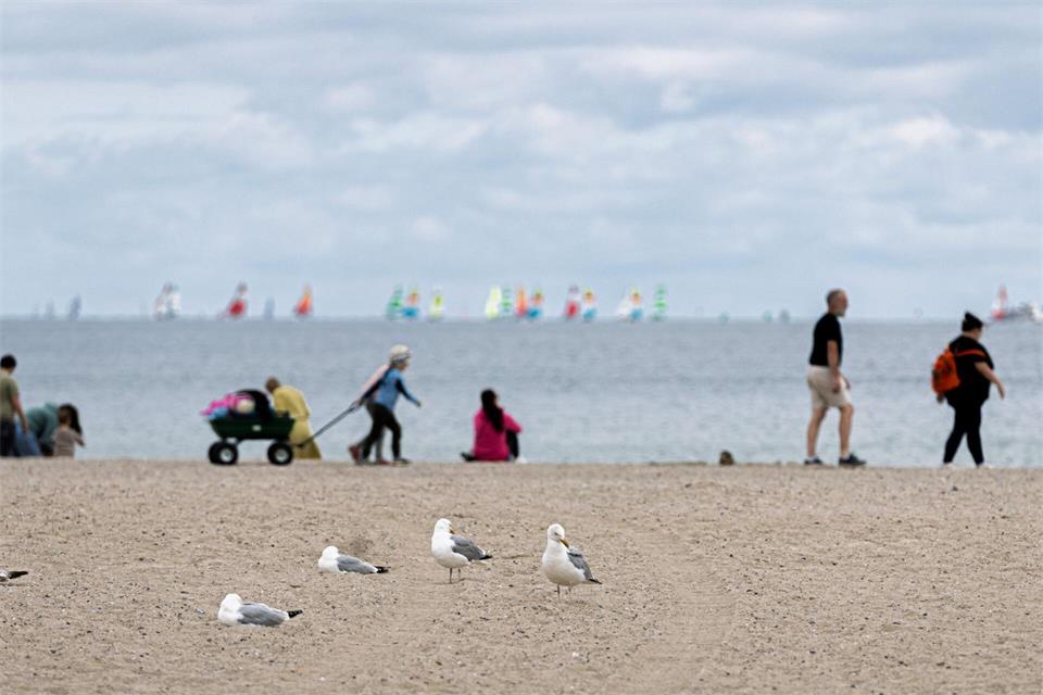 In Hamburg und Schleswig-Holstein bleibt es vorerst mild und regnerisch. (Symbolbild)Markus Scholz/dpa