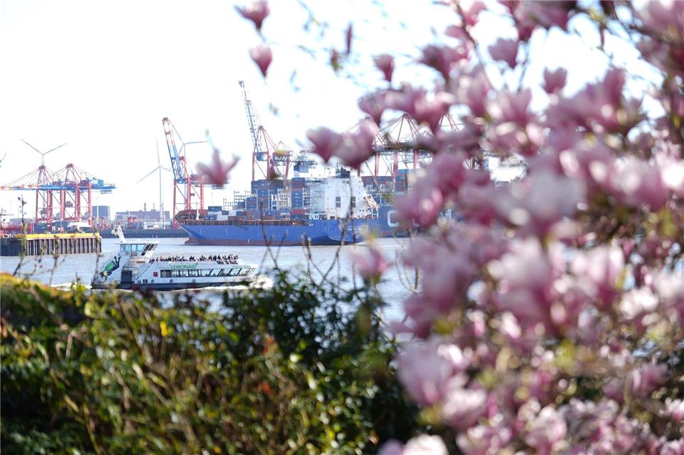 In Hamburg und Schleswig-Holstein können die Menschen weiter das Frühlingswetter genießen. Marcus Brandt/dpa