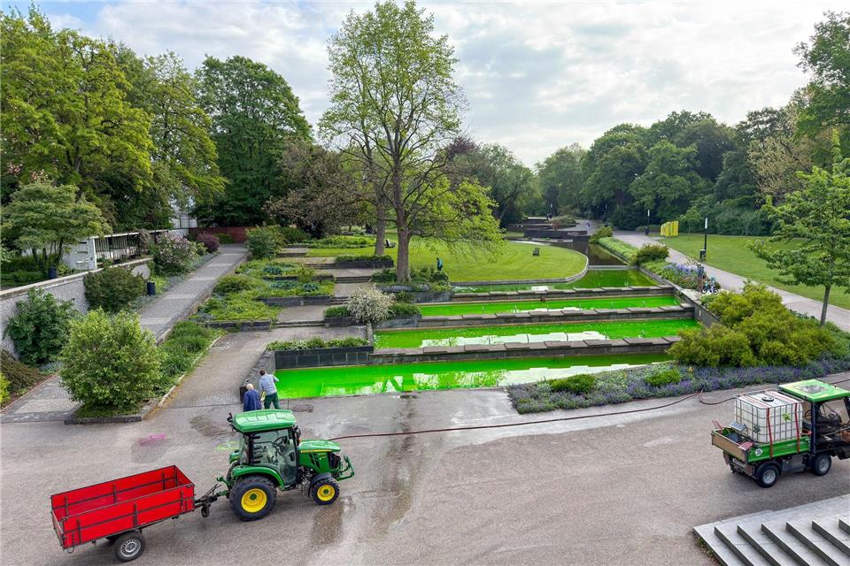 In Hamburg war unter anderem das Wasser von Springbrunnen des Parks Planten un Blomen mit grüner Farbe gefärbt.Bodo Marks/dpa
