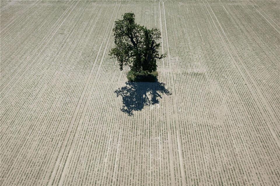 In Hessen fielen im Monatsmittel rund 20 Liter pro Quadratmeter Regen. (Archivbild)Boris Roessler/dpa