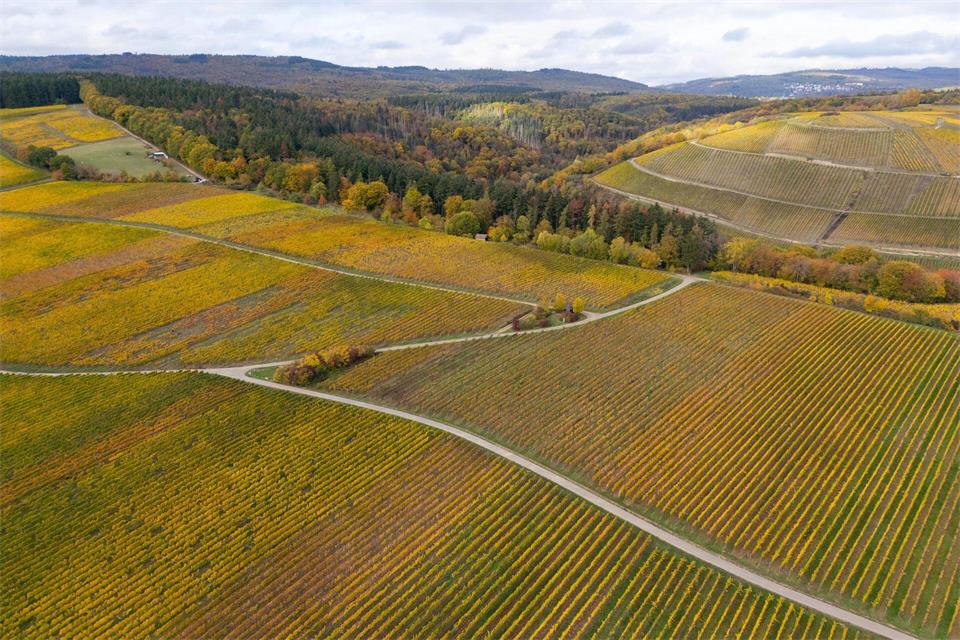 In Hessen gibt es je nach Region in den nächsten Tagen mehr Sonne oder WolkenBoris Roessler/dpa