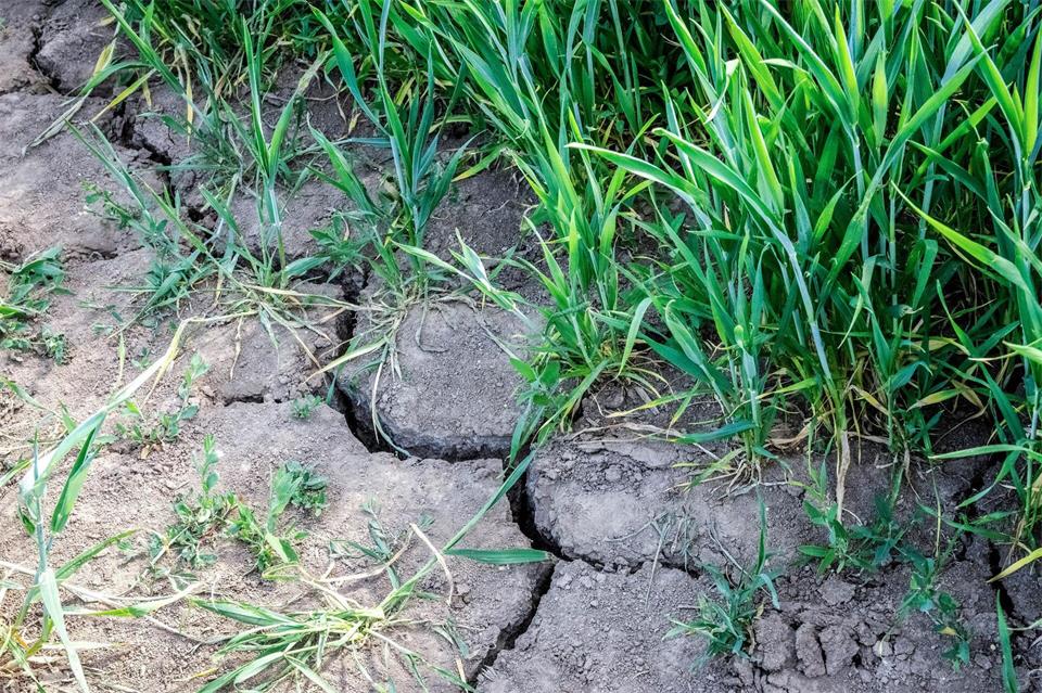 In Hessen ist seit März ein Wasserdefizit aufgelaufen. (Symbolbild)Sina Schuldt/dpa