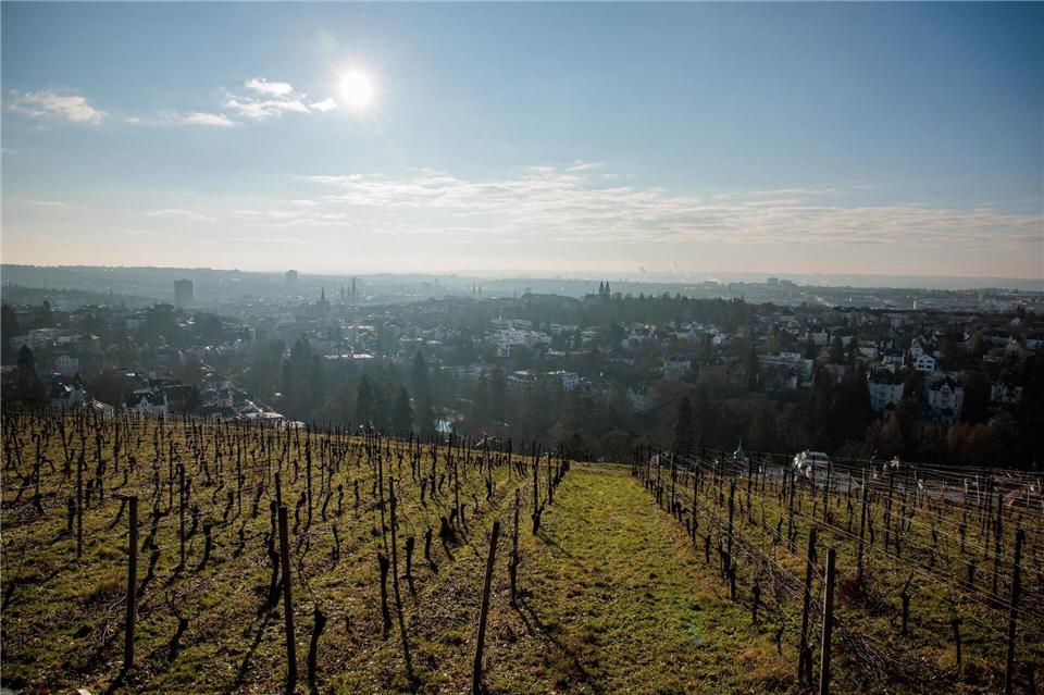 In Hessen kann sich in den kommenden Tagen immer wieder die Sonne zeigen. (Symbolbild)Jörg Halisch/dpa