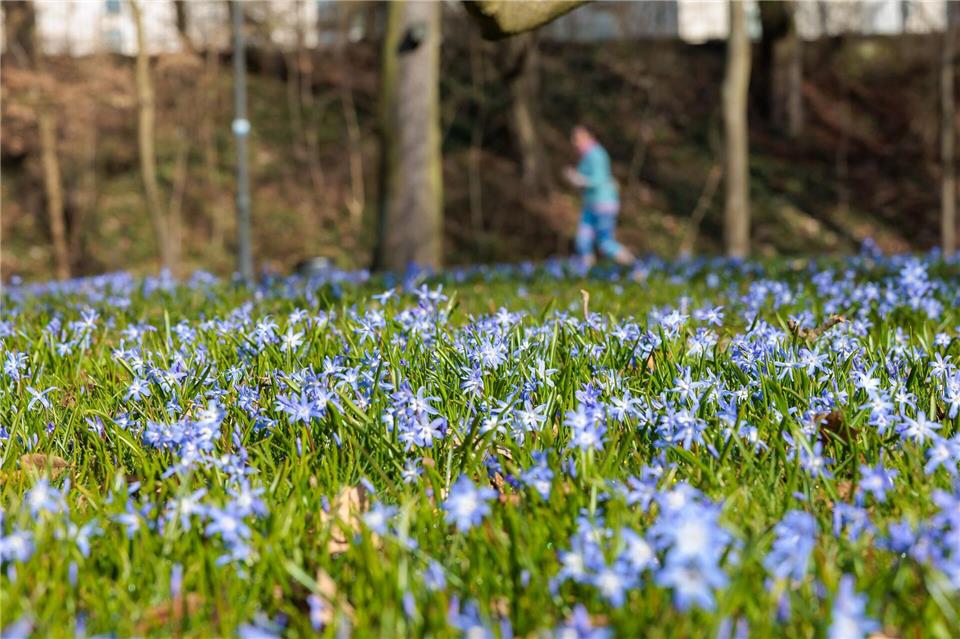 In Hessen scheint am Wochenende auch immer mal wieder die Sonne. (Archivbild)Jörg Halisch/dpa