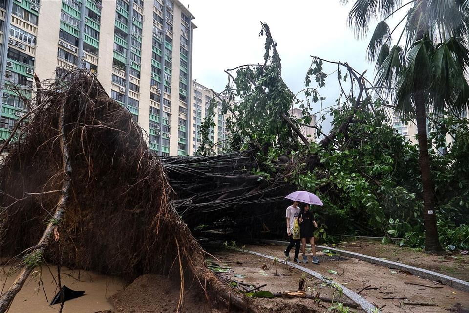 In Hongkong stürzten Hunderte Bäume um.Chan Long Hei/AP/dpa